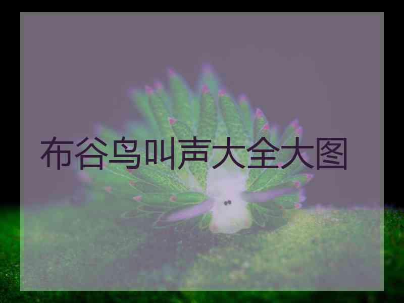 布谷鸟叫声大全大图