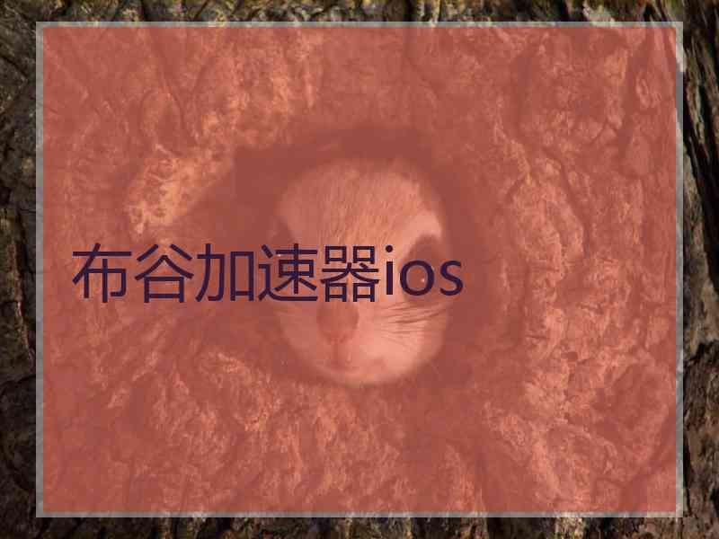 布谷加速器ios