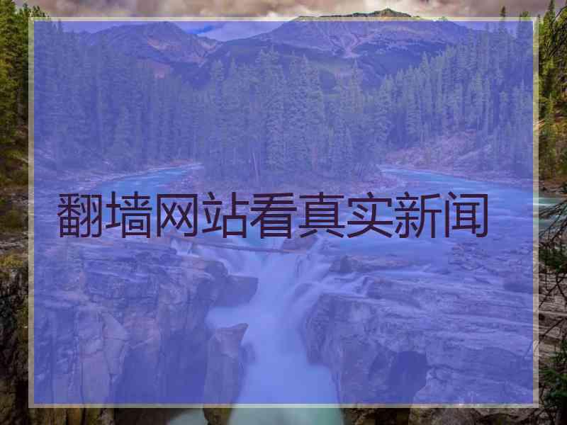 翻墙网站看真实新闻