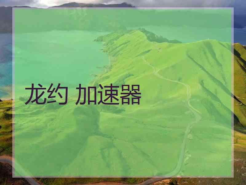 龙约 加速器