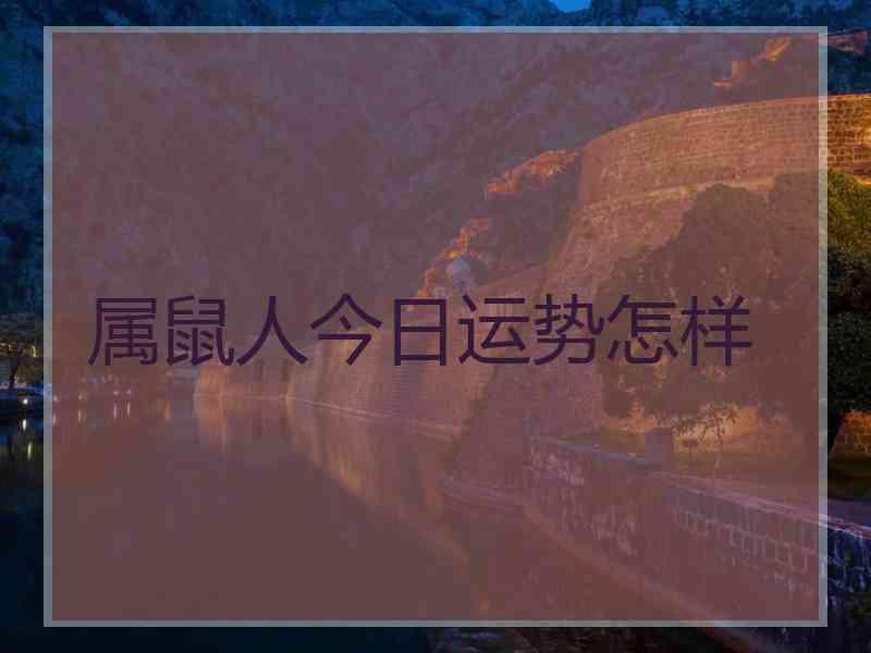 属鼠人今日运势怎样