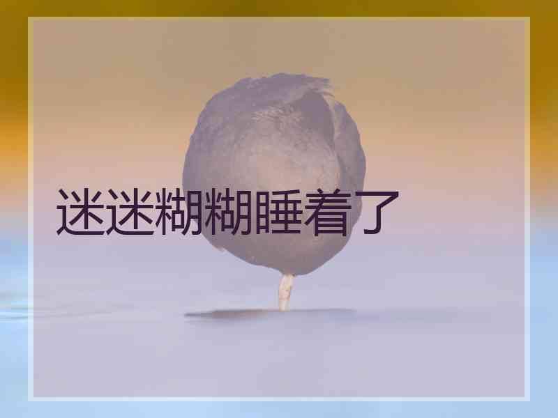 迷迷糊糊睡着了