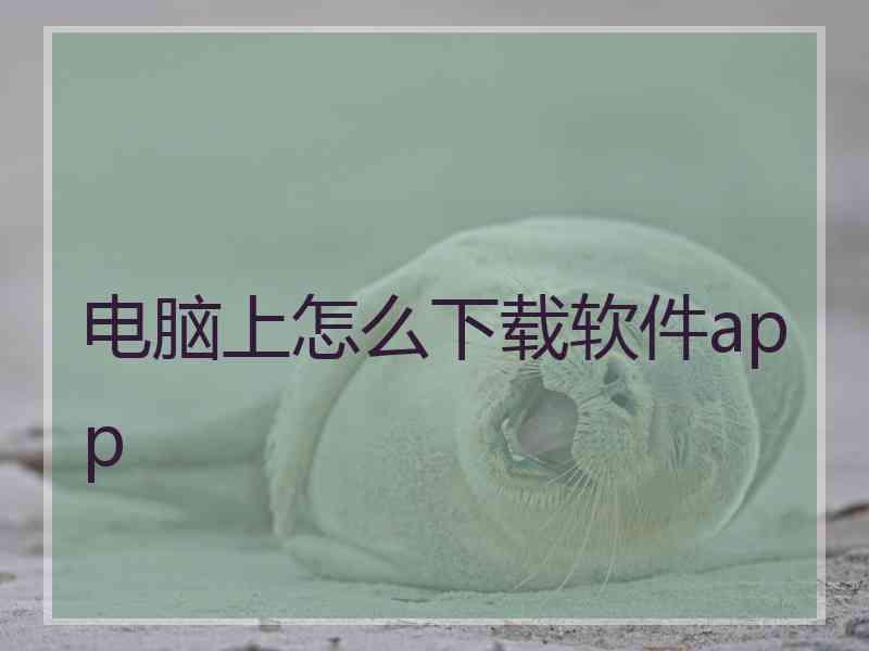 电脑上怎么下载软件app