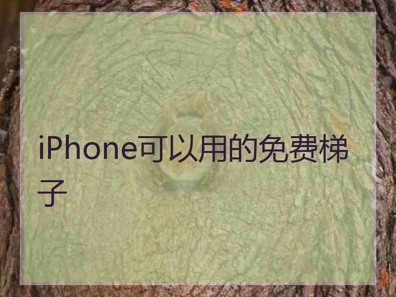 iPhone可以用的免费梯子