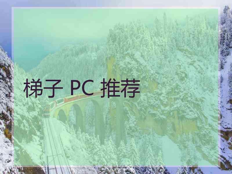 梯子 PC 推荐