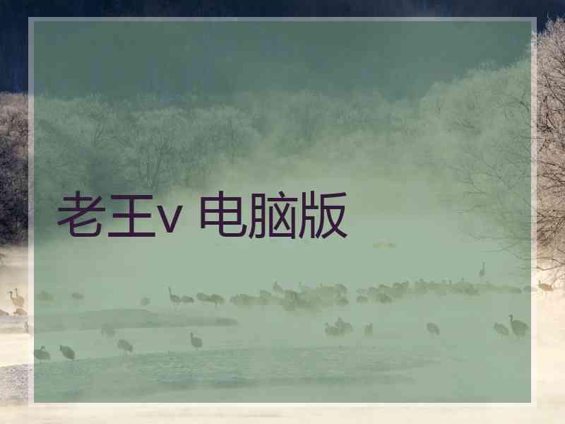 老王v 电脑版