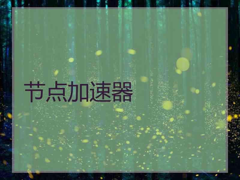 节点加速器