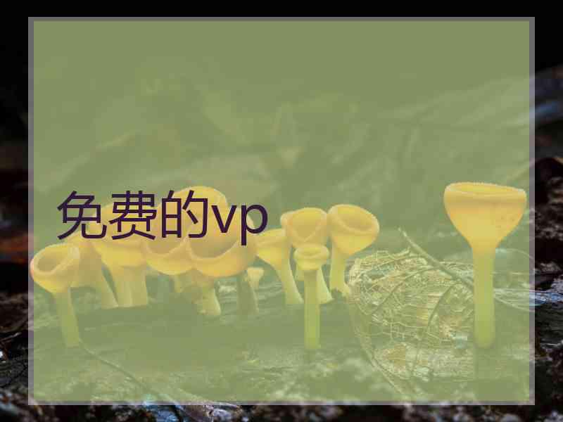 免费的vp