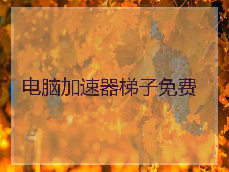 电脑加速器梯子免费