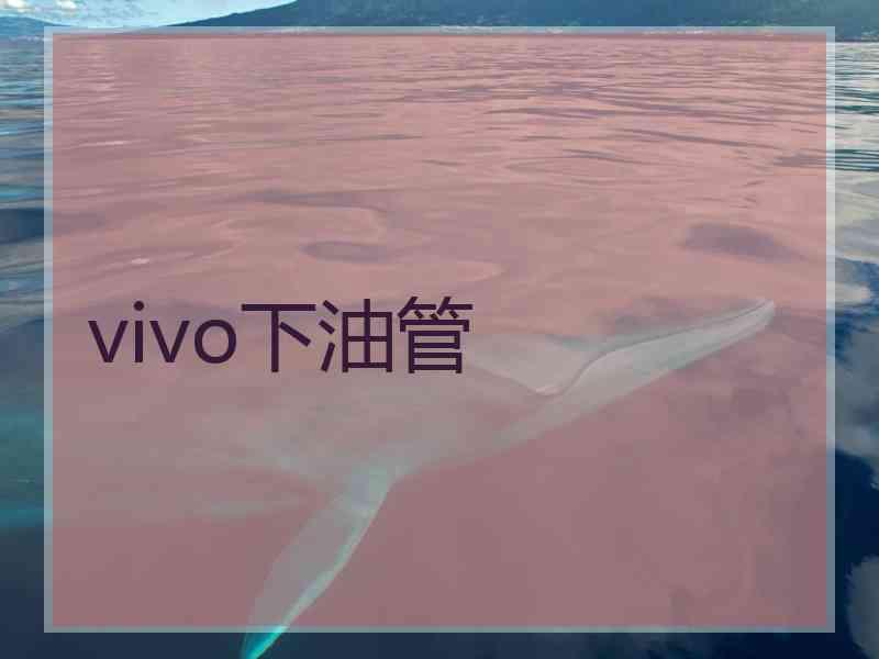 vivo下油管