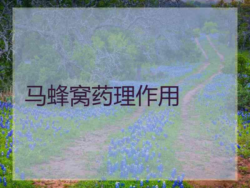 马蜂窝药理作用