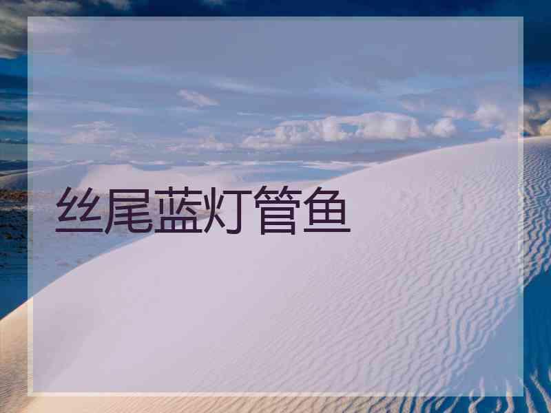 丝尾蓝灯管鱼