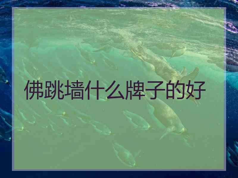 佛跳墙什么牌子的好