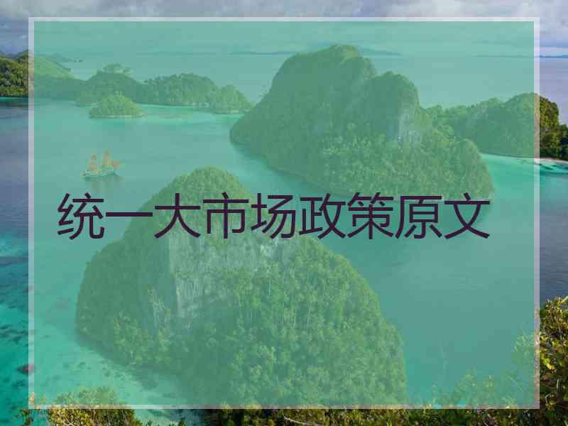 统一大市场政策原文