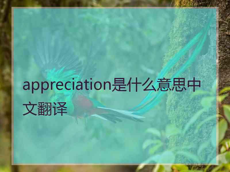 appreciation是什么意思中文翻译
