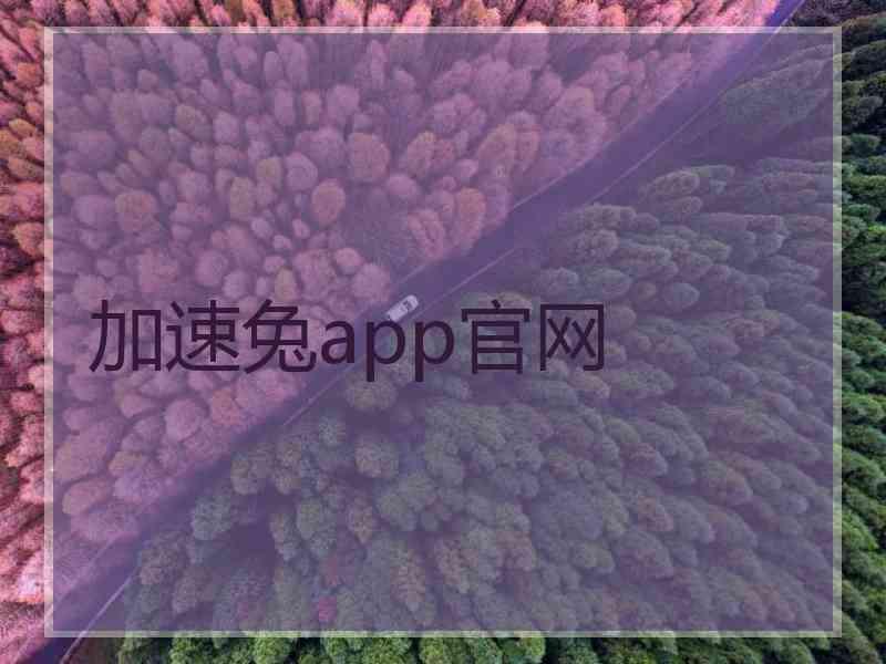 加速兔app官网