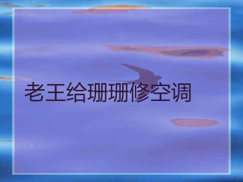 老王给珊珊修空调