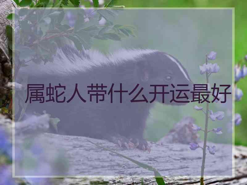 属蛇人带什么开运最好