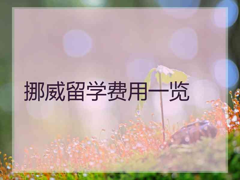 挪威留学费用一览