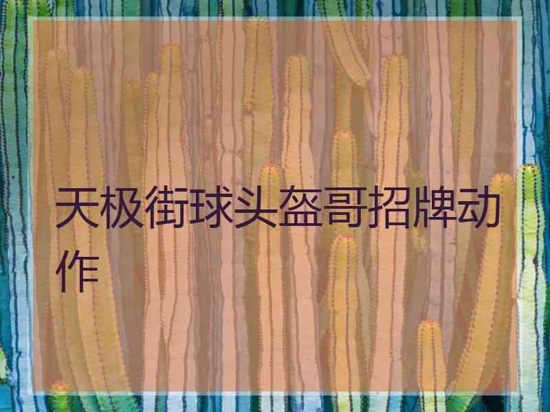 天极街球头盔哥招牌动作