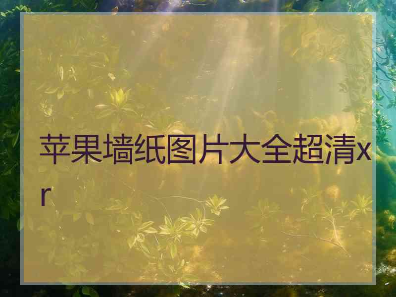 苹果墙纸图片大全超清xr