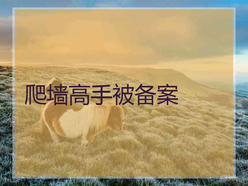 爬墙高手被备案