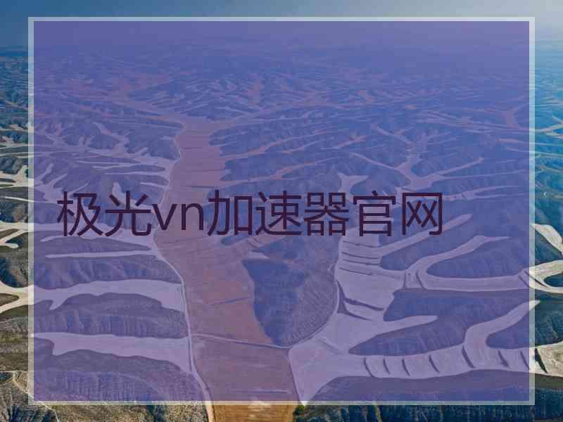 极光vn加速器官网