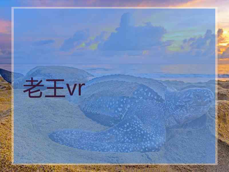老王vr