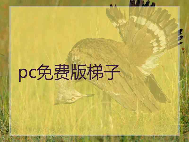 pc免费版梯子