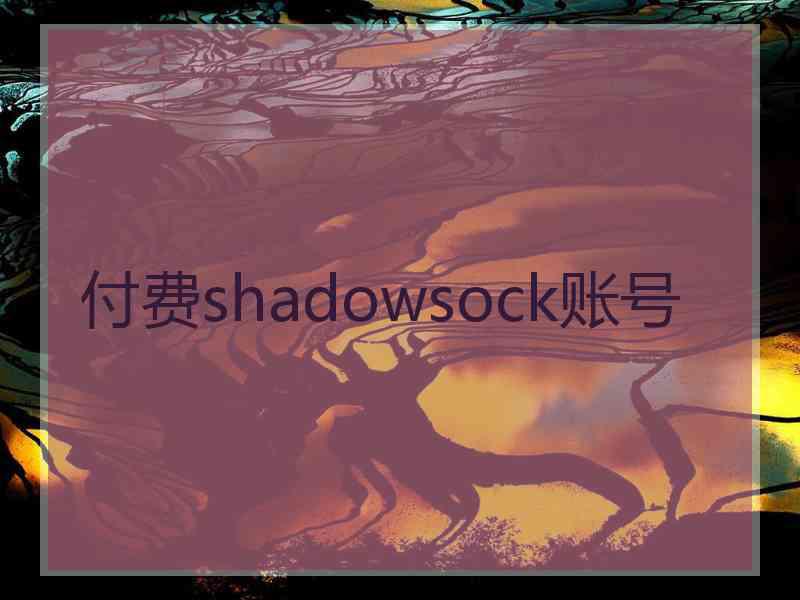 付费shadowsock账号