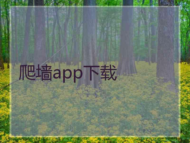 爬墙app下载