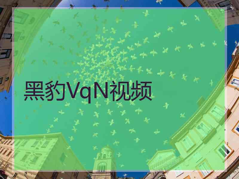 黑豹VqN视频