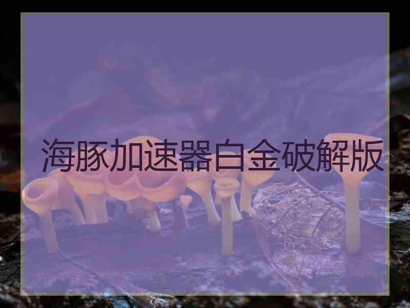 海豚加速器白金破解版