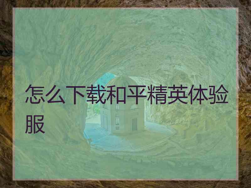 怎么下载和平精英体验服