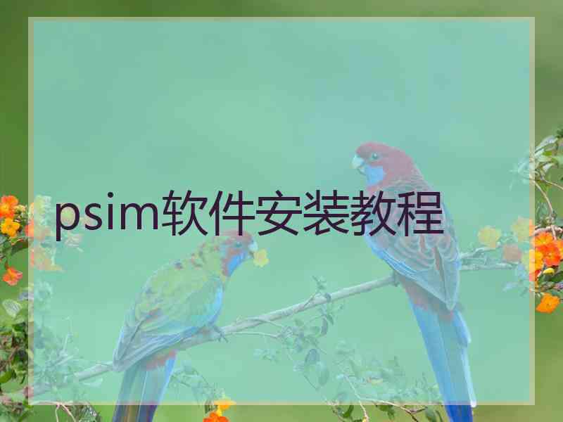 psim软件安装教程