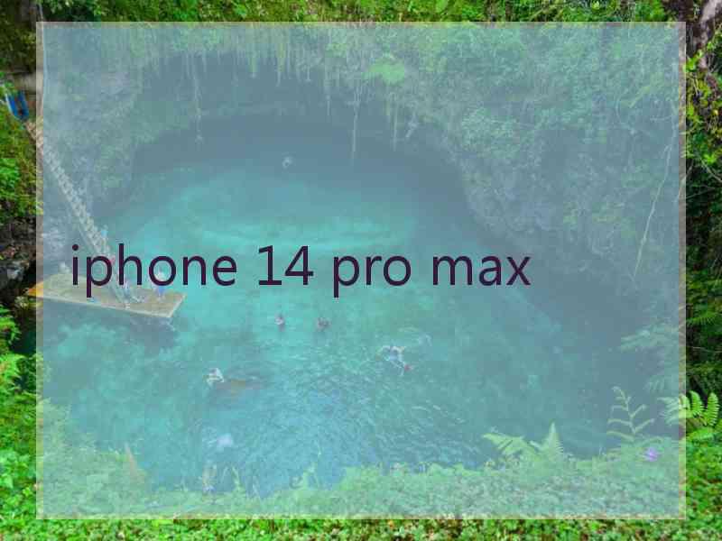 iphone 14 pro max