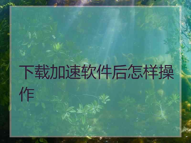 下载加速软件后怎样操作