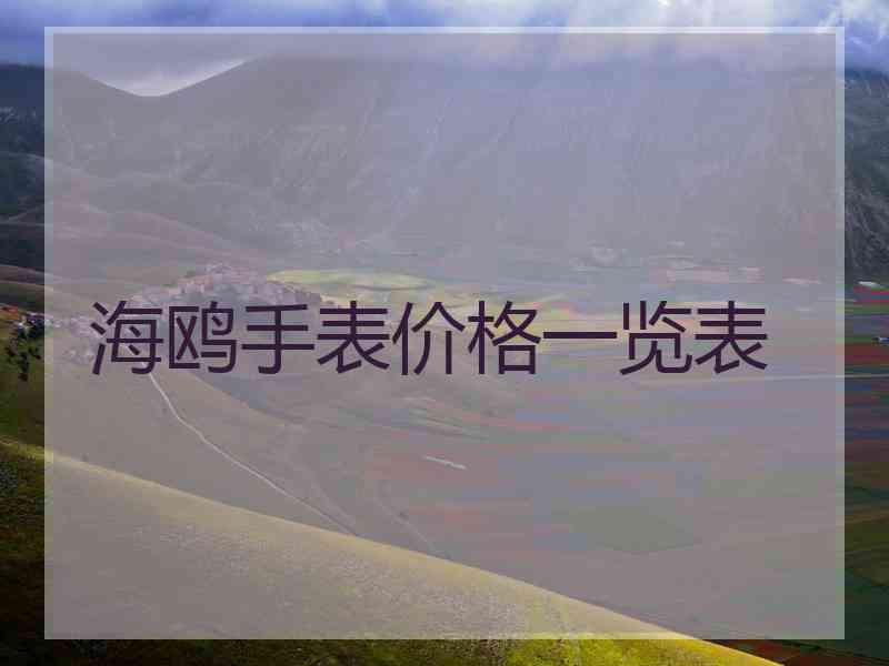 海鸥手表价格一览表