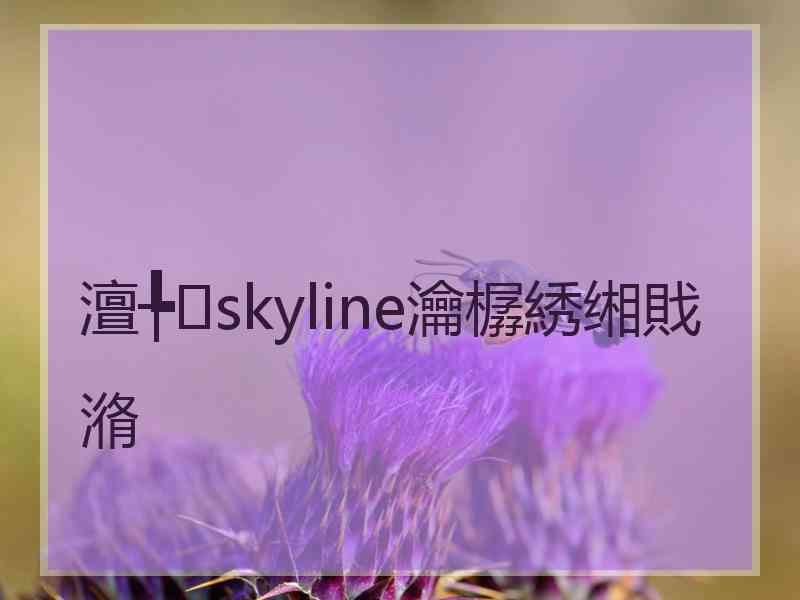 澶╄skyline瀹樼綉缃戝潃