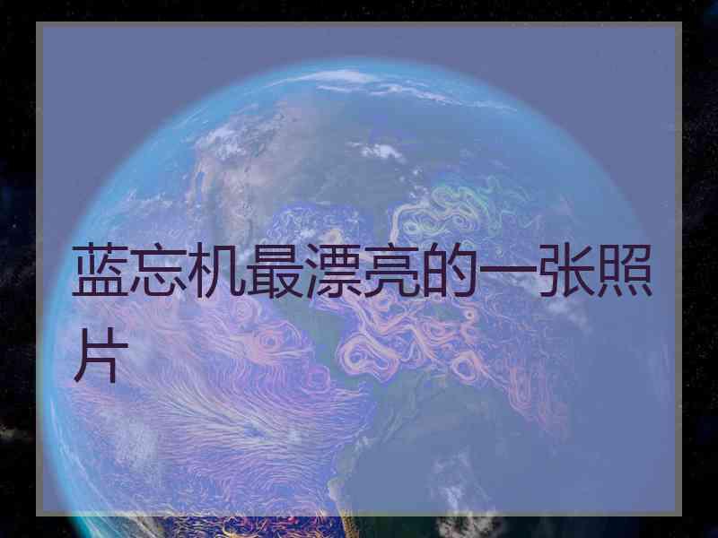 蓝忘机最漂亮的一张照片