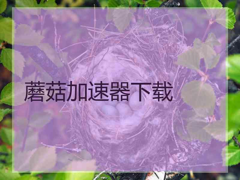 蘑菇加速器下载