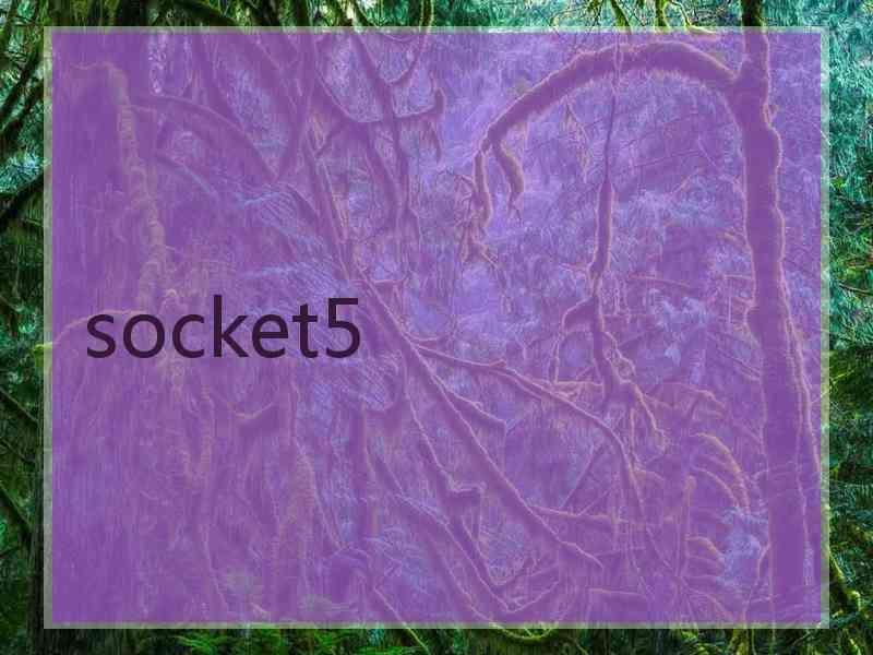 socket5