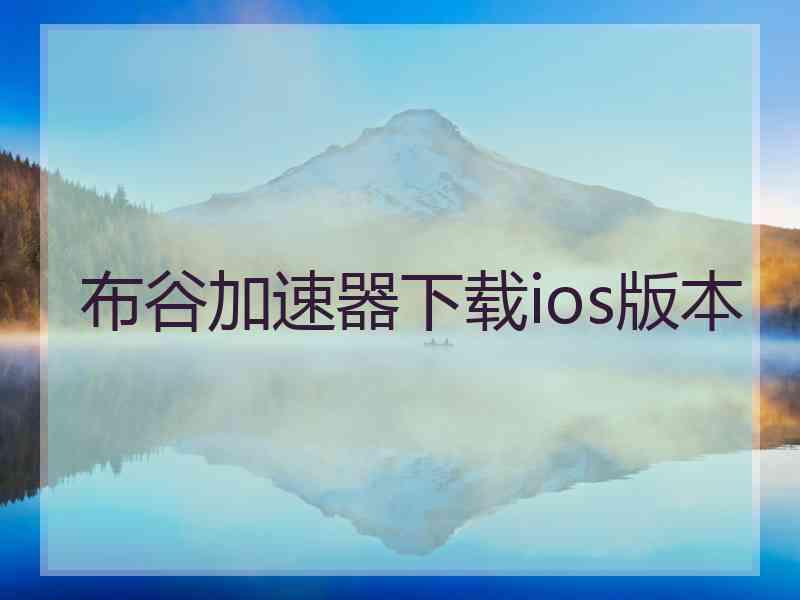 布谷加速器下载ios版本