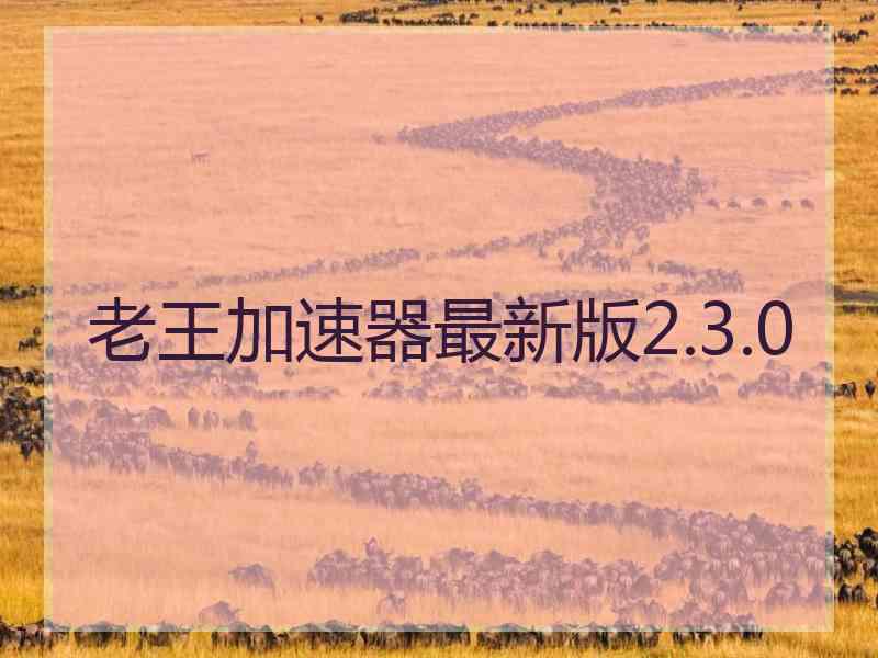 老王加速器最新版2.3.0