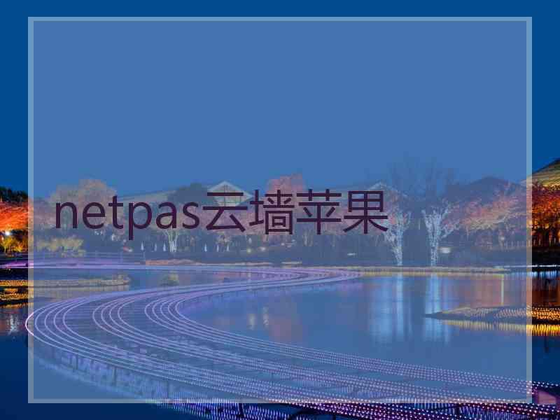 netpas云墙苹果