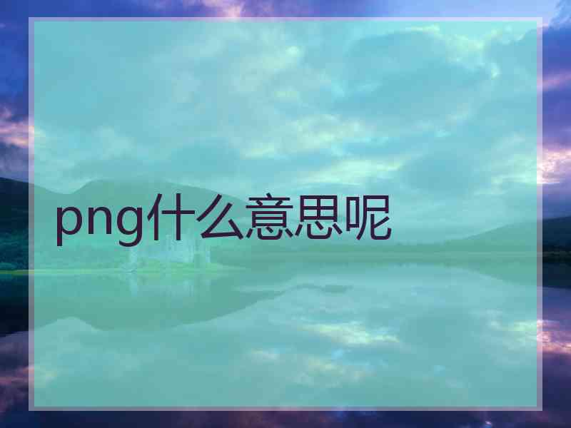 png什么意思呢
