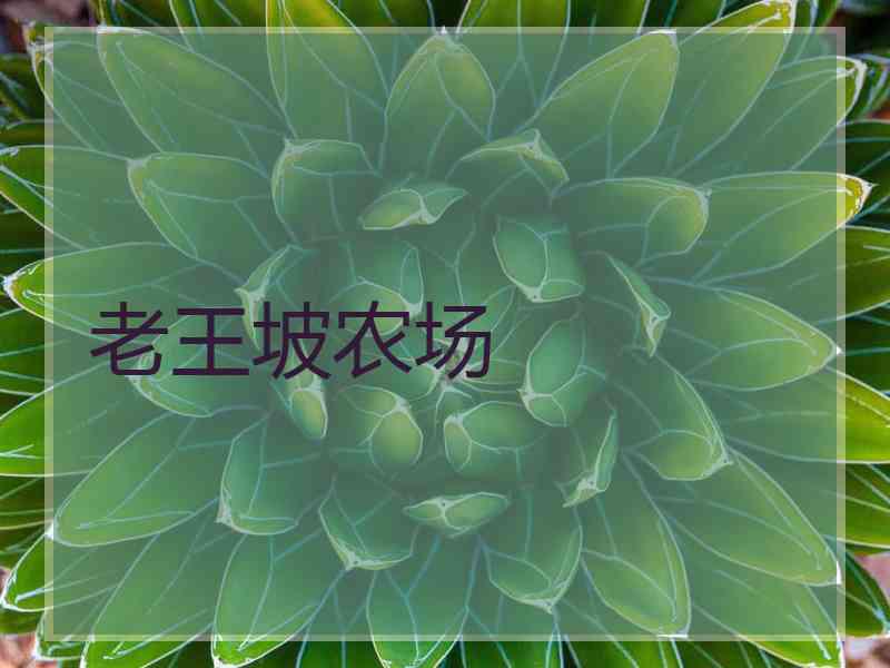 老王坡农场