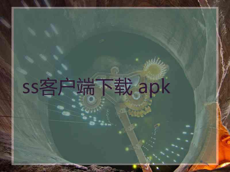 ss客户端下载 apk