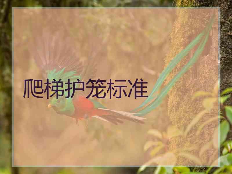 爬梯护笼标准