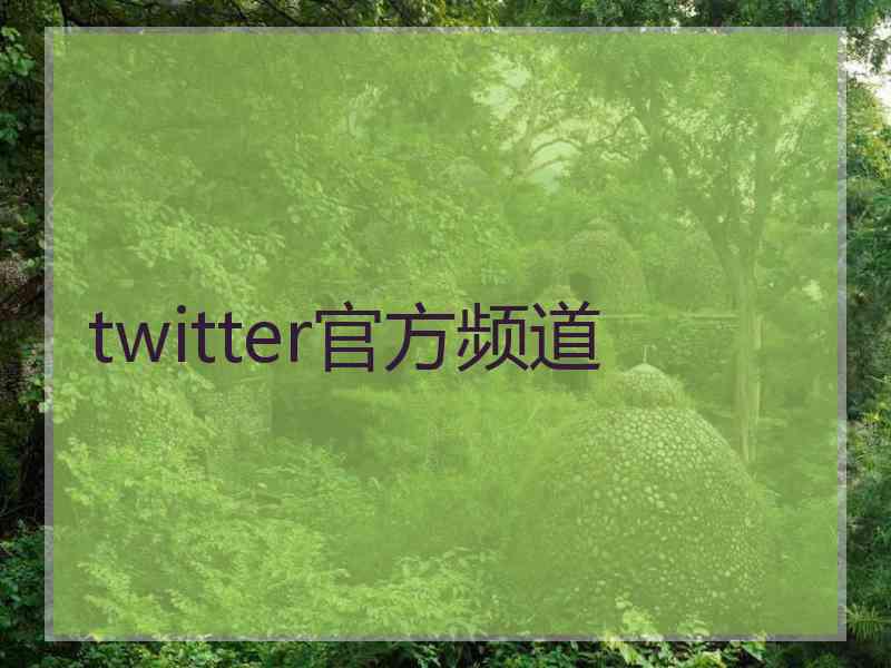 twitter官方频道